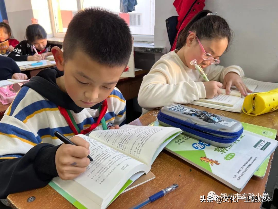 小学双减政策下的高效课堂,小学双减课堂教学提质增效