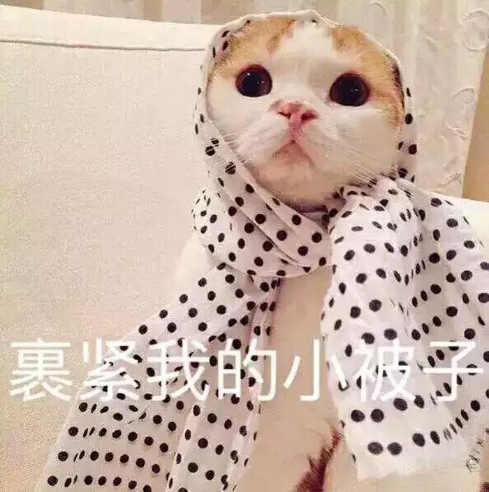 近期值得入手的爱用物,年终总结我最大的收获