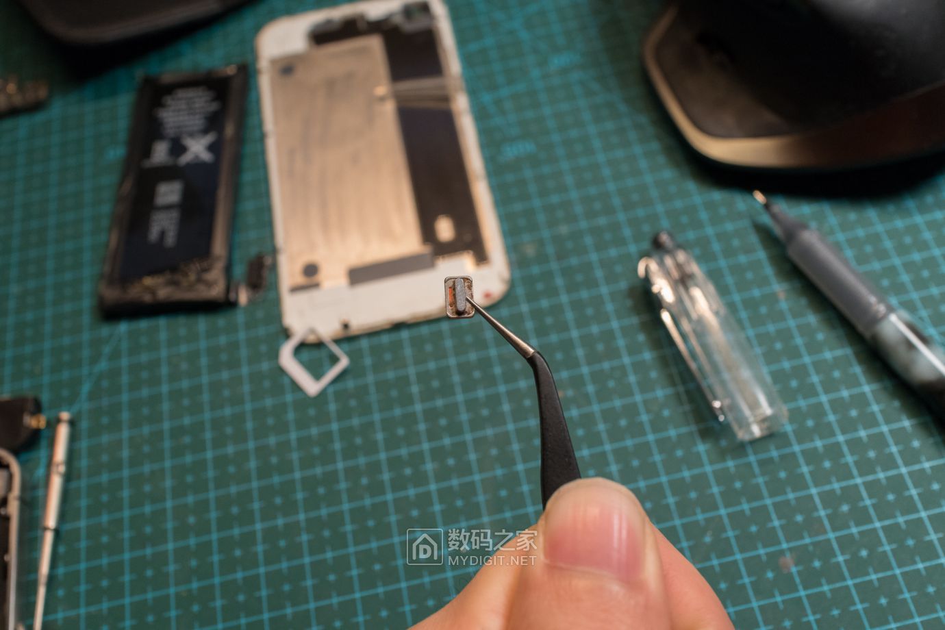 把未拆封的iphone4做成标本,iphone4被做成标本