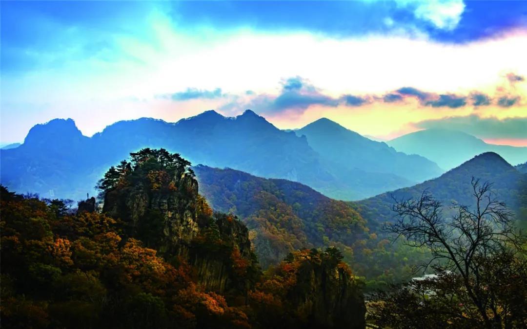 沈阳日报12月13日,沈阳新闻9月16日