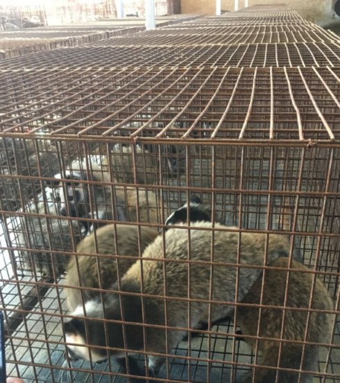 运城市畜牧兽医发展中心,畜牧局包点村扶贫工作方案