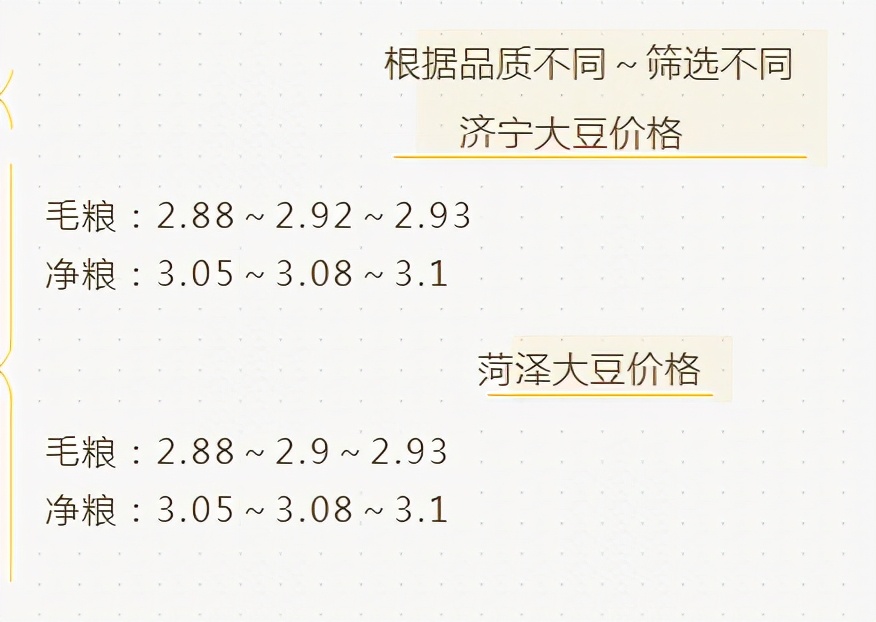 东北大豆最新价格及后市分析,大豆行情暴跌