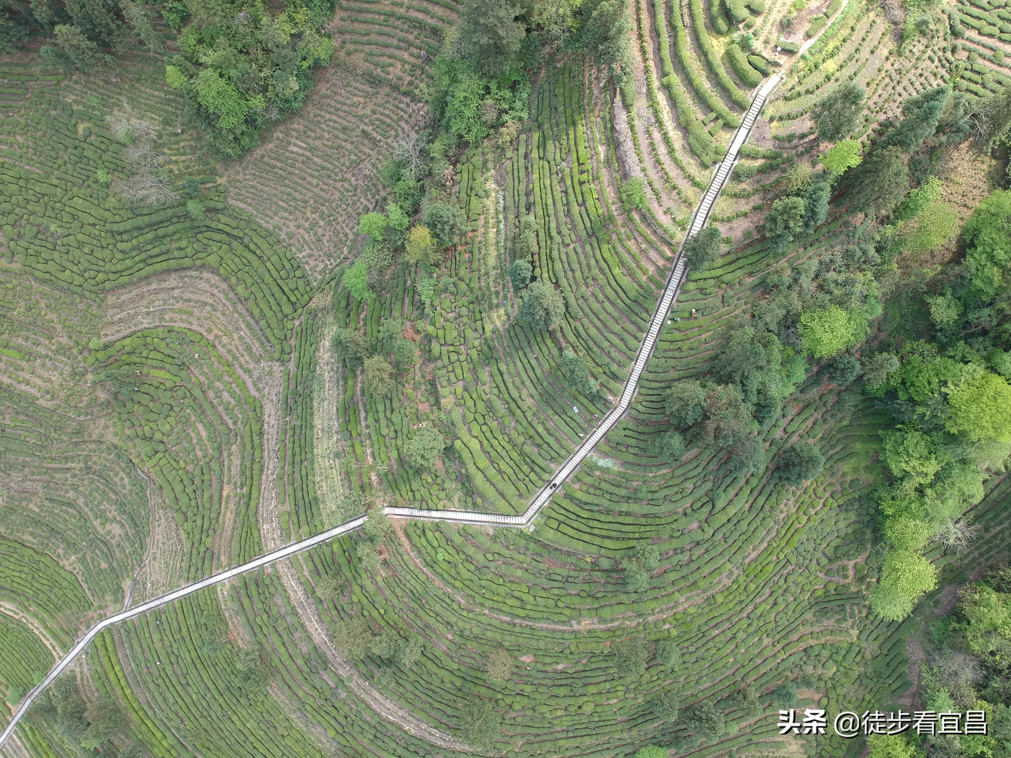 宜昌五峰风景真实照片,五峰茶山航拍