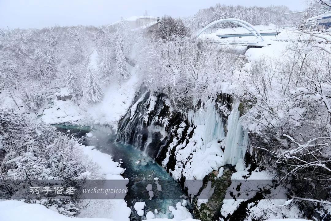 老实说，这一趟北海道就是为了拍好看的照片去的
