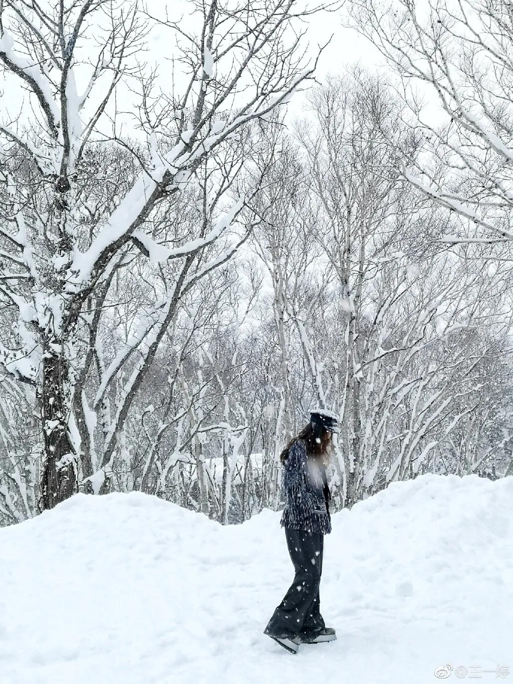中国国脚杨旭,前国脚杨旭