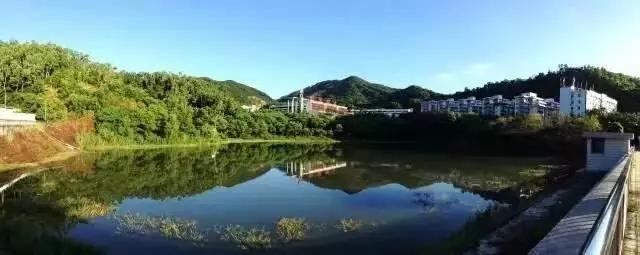 深圳市高中重本上线排名,红岭集团大鹏校区2023年重本率