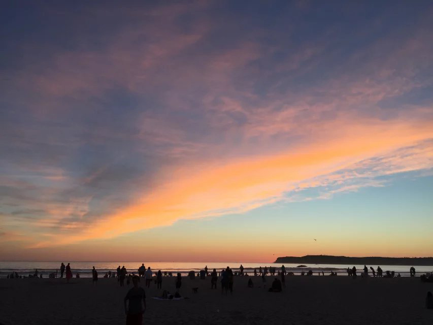 美国本科essay申请,美国大学申请文书需要哪些条件