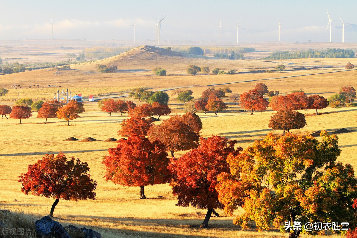 纳兰性德三首海棠词,纳兰性德最豁达潇洒的诗