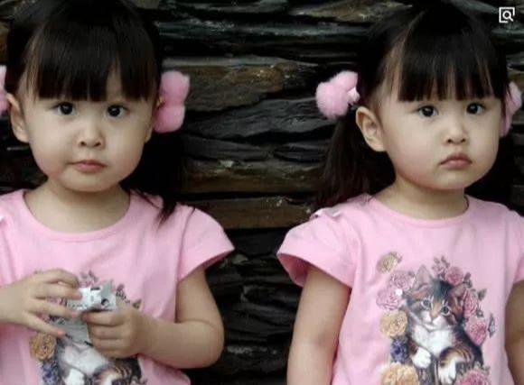 张杰谢娜的双胞胎正面曝光,张杰和谢娜的两个孩子长什么样