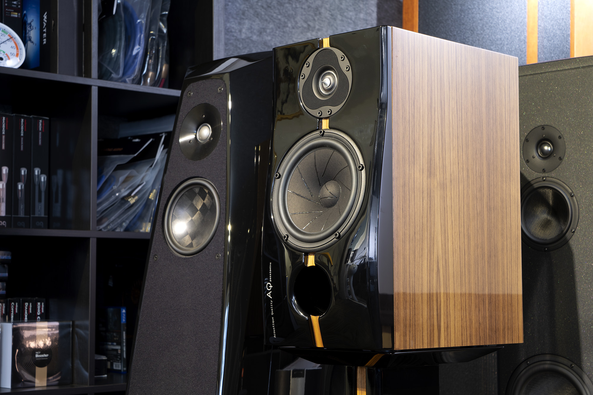 中坚力量——评AQPassionTeen书架式音箱