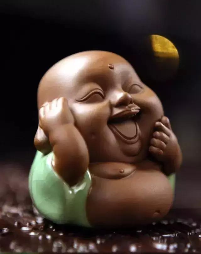 怎样茶宠越养越漂亮,怎样饲养茶宠