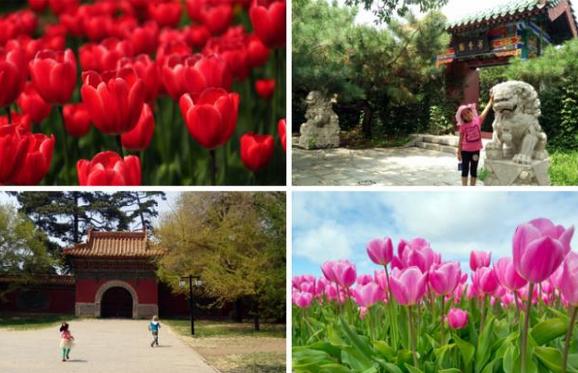 沈阳旅游景点大全排行榜前十名,沈阳必去的三大景点沈阳森林公园