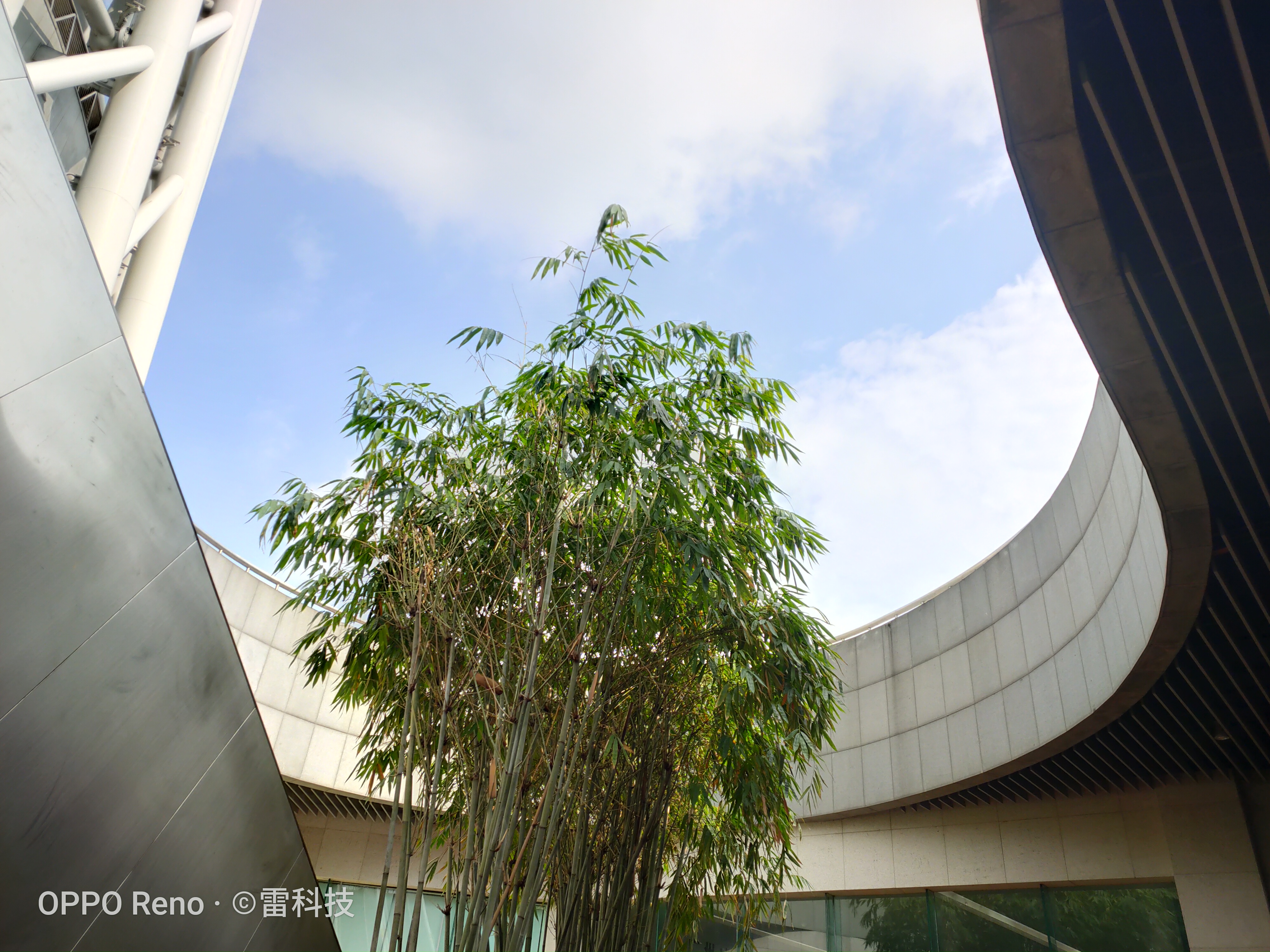 opporeno6和reno6pro哪个好,opporeno5pro+和reno6pro