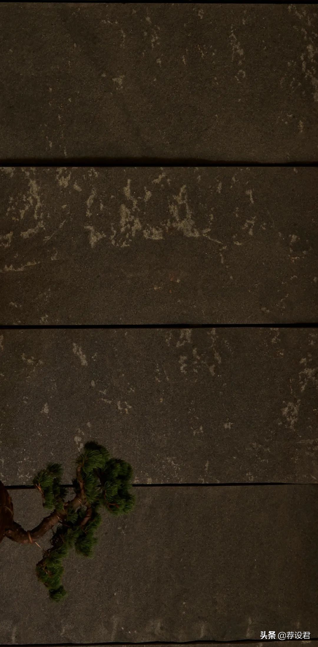 绽放作品设计理念,绽放设计宝龙