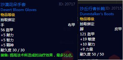 魔兽怀旧服希利苏斯盗贼天赋,魔兽希利苏斯自然抗护腿