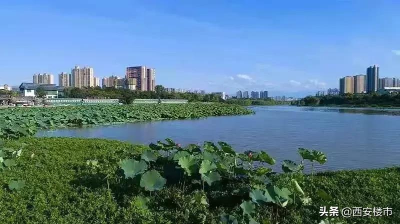 西安金辉黄金广场,西安金辉城新盘