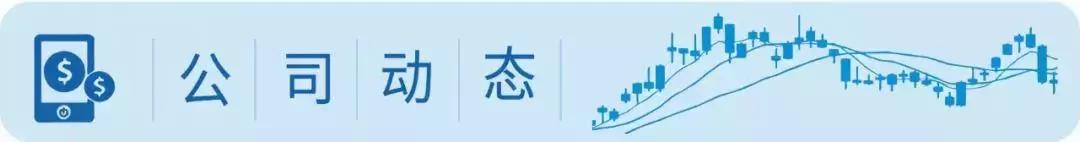 科创板10股转10股的有几家公司,科创板股票会不会10转10股高送转