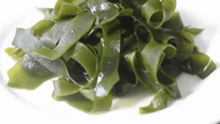 超嫩海带苗,霞浦海带嫩苗哪里有卖