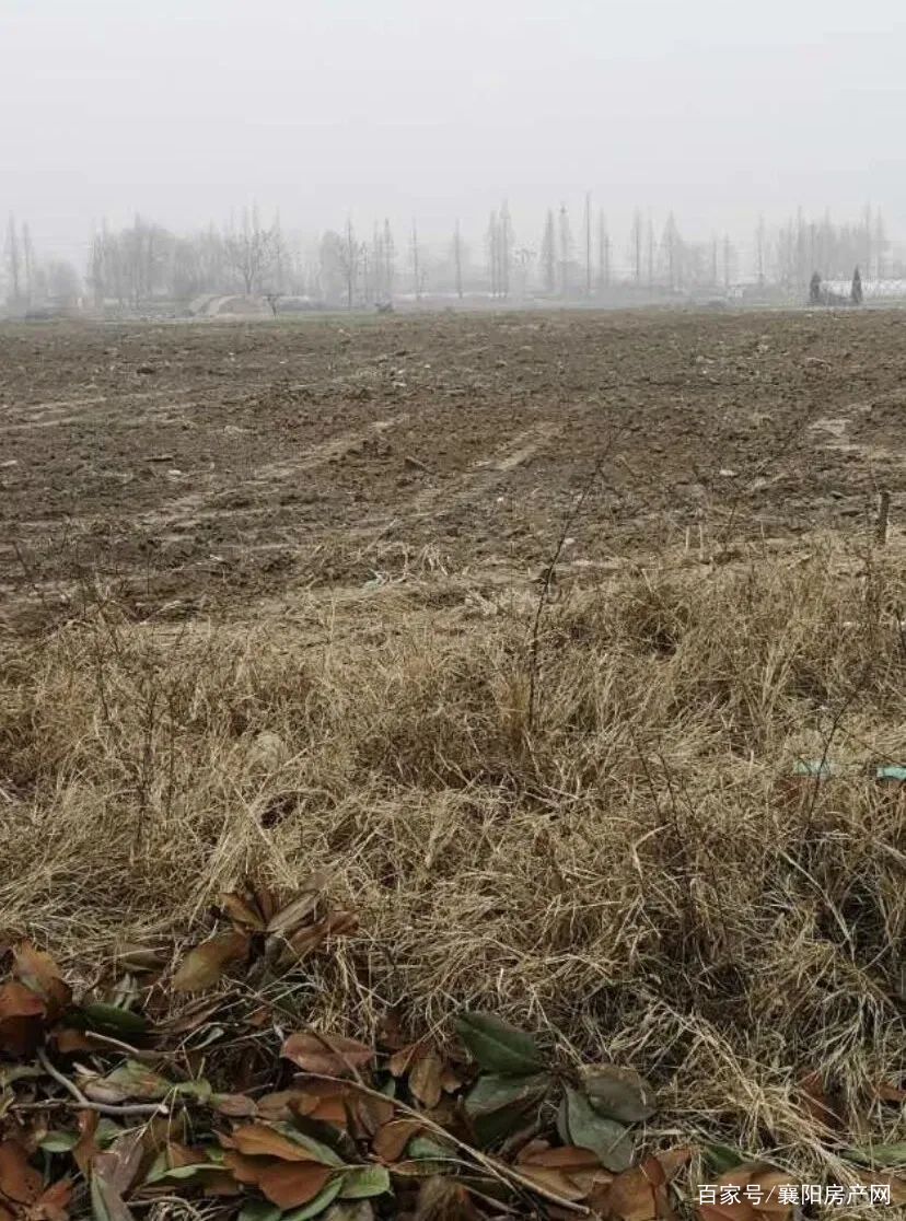 襄阳房地产拿地,襄阳房地产最新消息