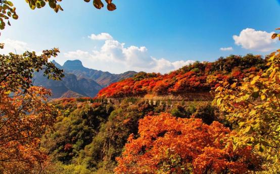 石家庄十一周边自驾游攻略,十一石家庄到胡杨林自驾游攻略