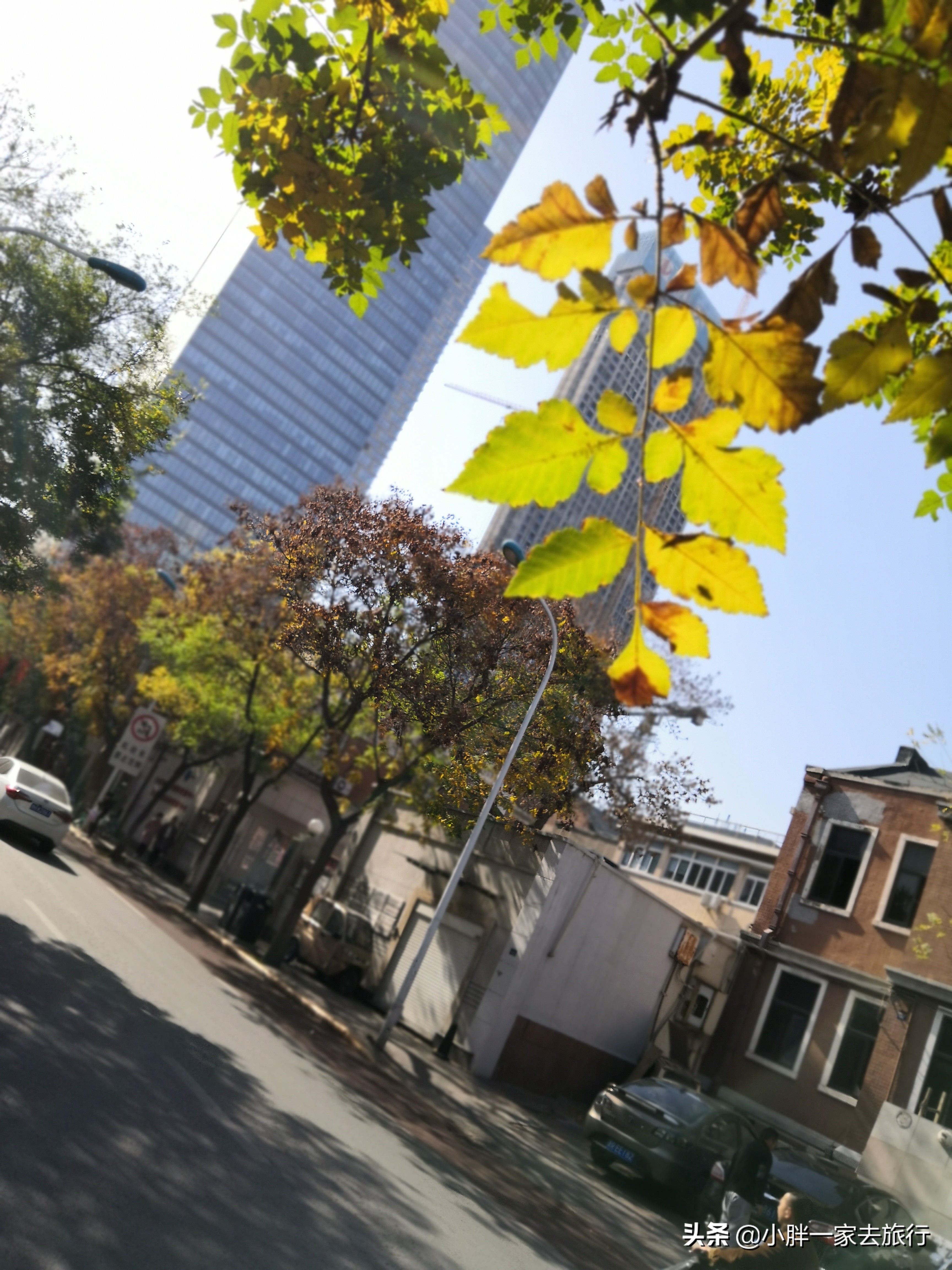 逛逛我的家乡天津滨江道,天津旅游滨江道