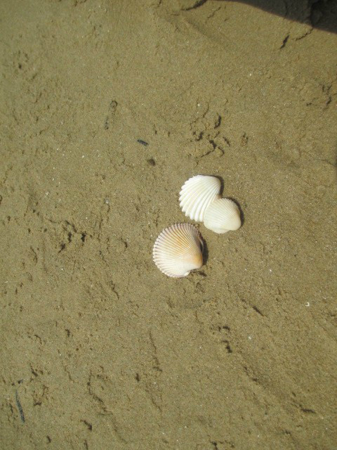 三亚自由行游玩路线,三亚自由行游玩攻略详细