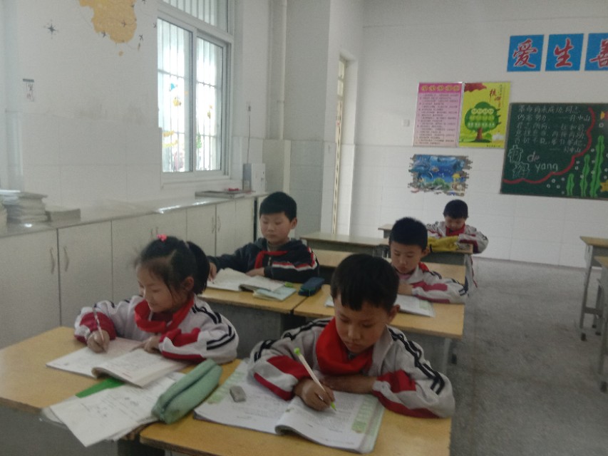 不上辅导班怎么提高成绩,辅导班真的可以提高成绩吗