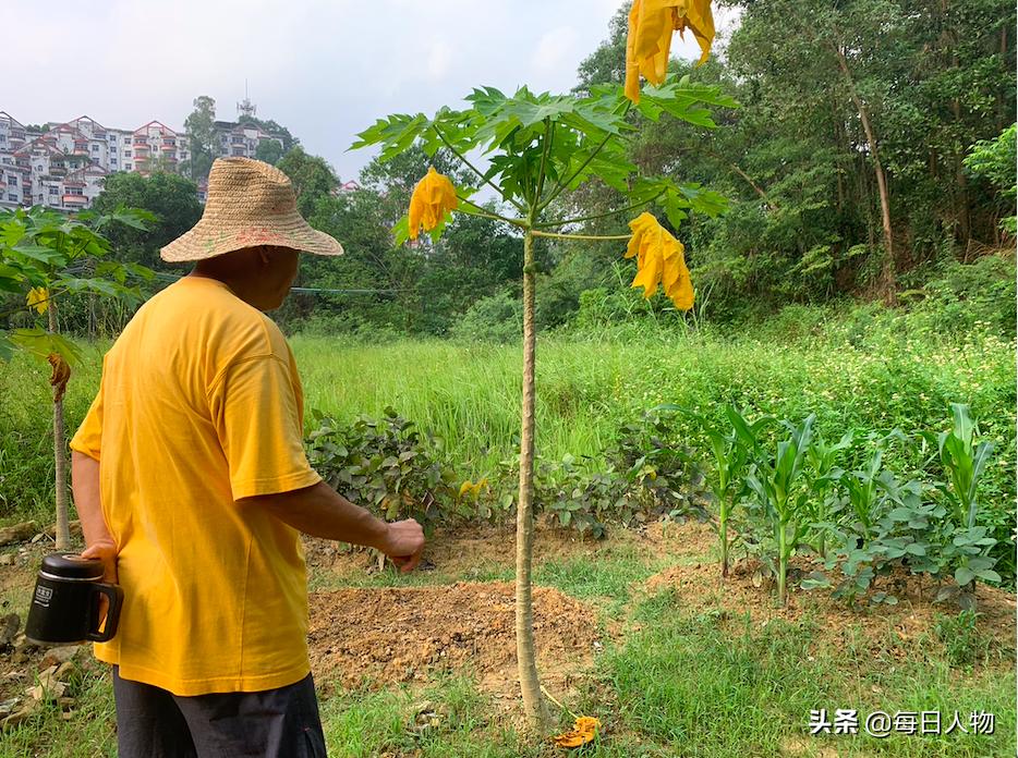 住在广州知名烂尾楼盘23年,广州最好烂尾楼盘