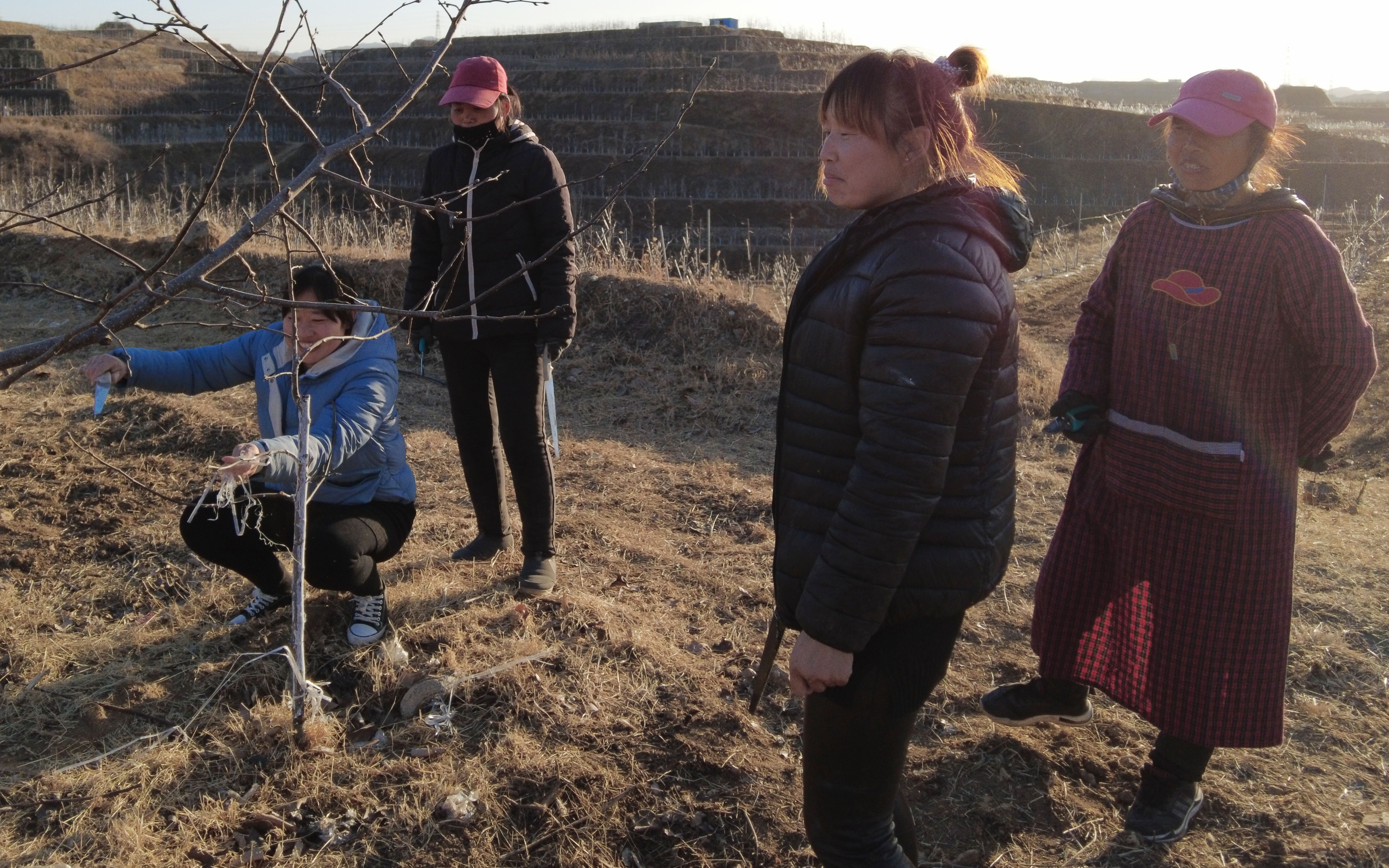 回望脱贫路⑧丨八年之后曾经的国家级贫困县阜平什么样了？