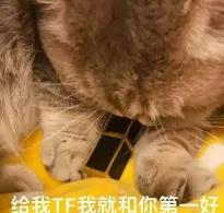 口红种草机色号,口红种草秋冬