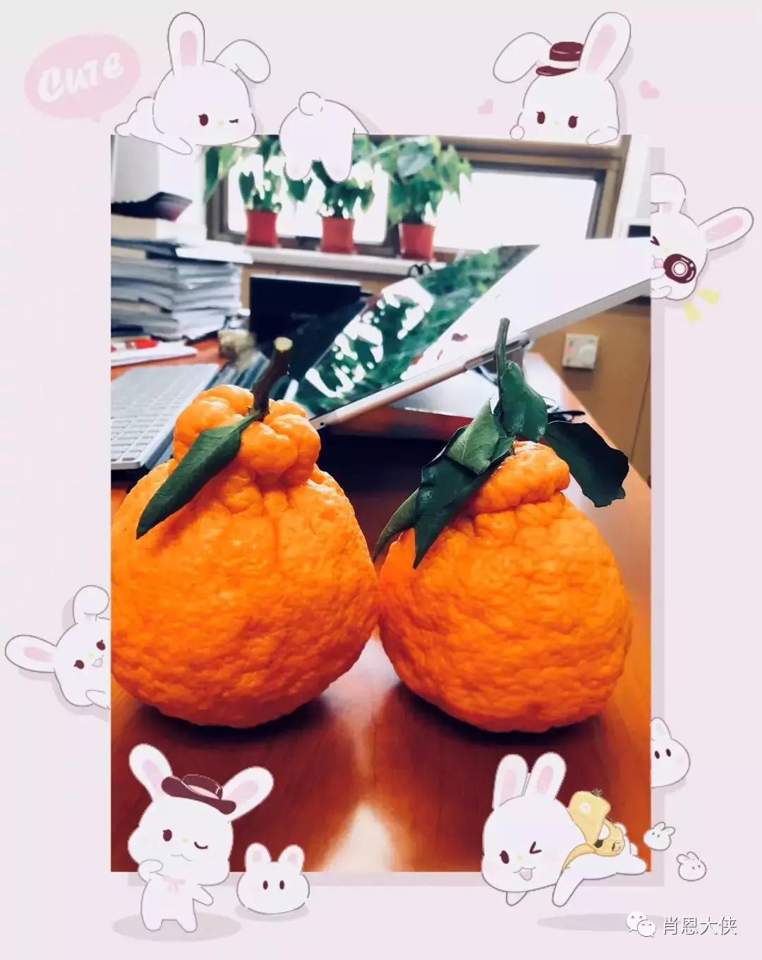 一个非典型的投资人的崛起,非典型投资者的感受