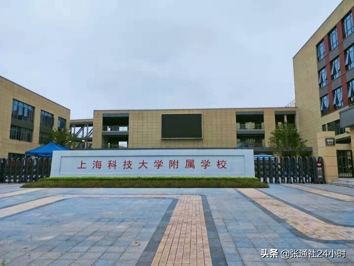 张江新建学校,上海张江新建学校2024年