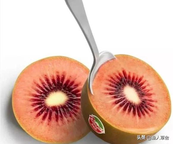 新西兰进口奇异果猕猴桃,猕猴桃新西兰进口