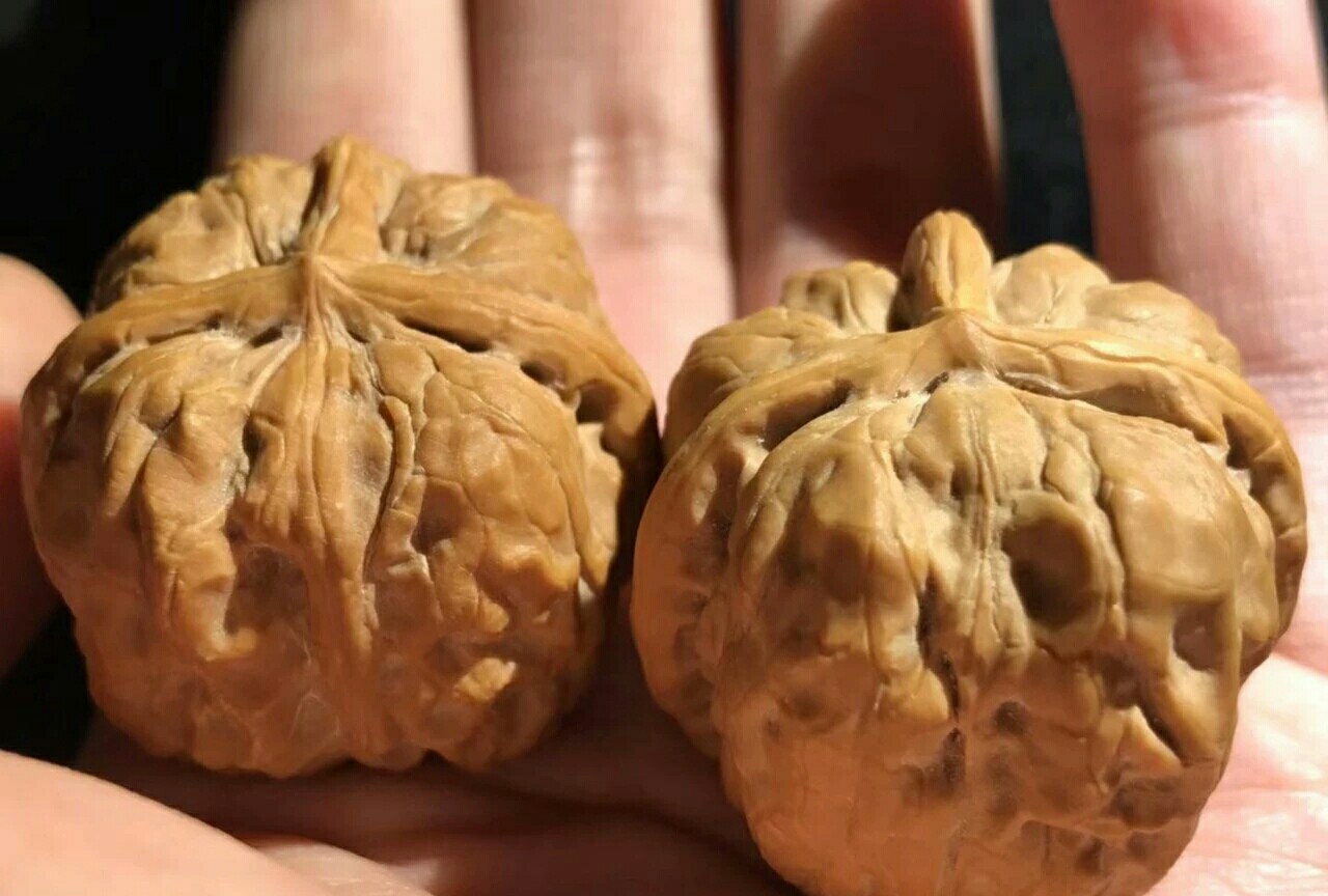 文玩核桃缝里不上色怎么办,文玩核桃有些地方不上色怎么办