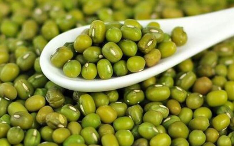 羊肉里面放什么能去骚味,羊肉太骚了加什么去味