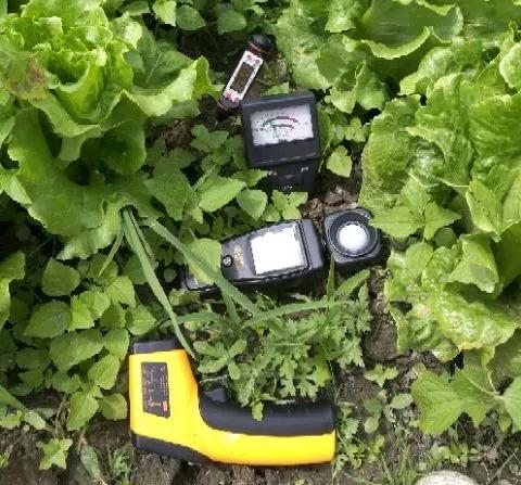 让农业回归原生态,呼唤传统农业回归