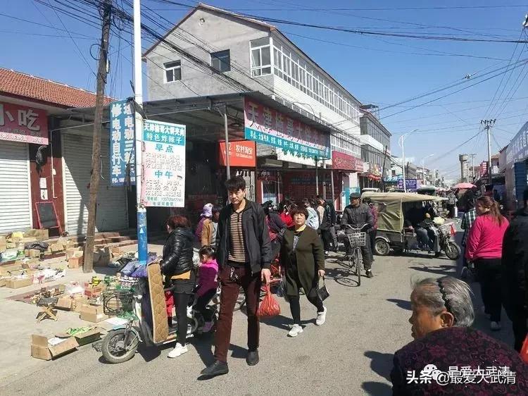 武清六道口的都来看看!写的太好啦!