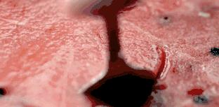 吃美食来这里绝对颠覆你的胃,好吃又解暑的夏日美食