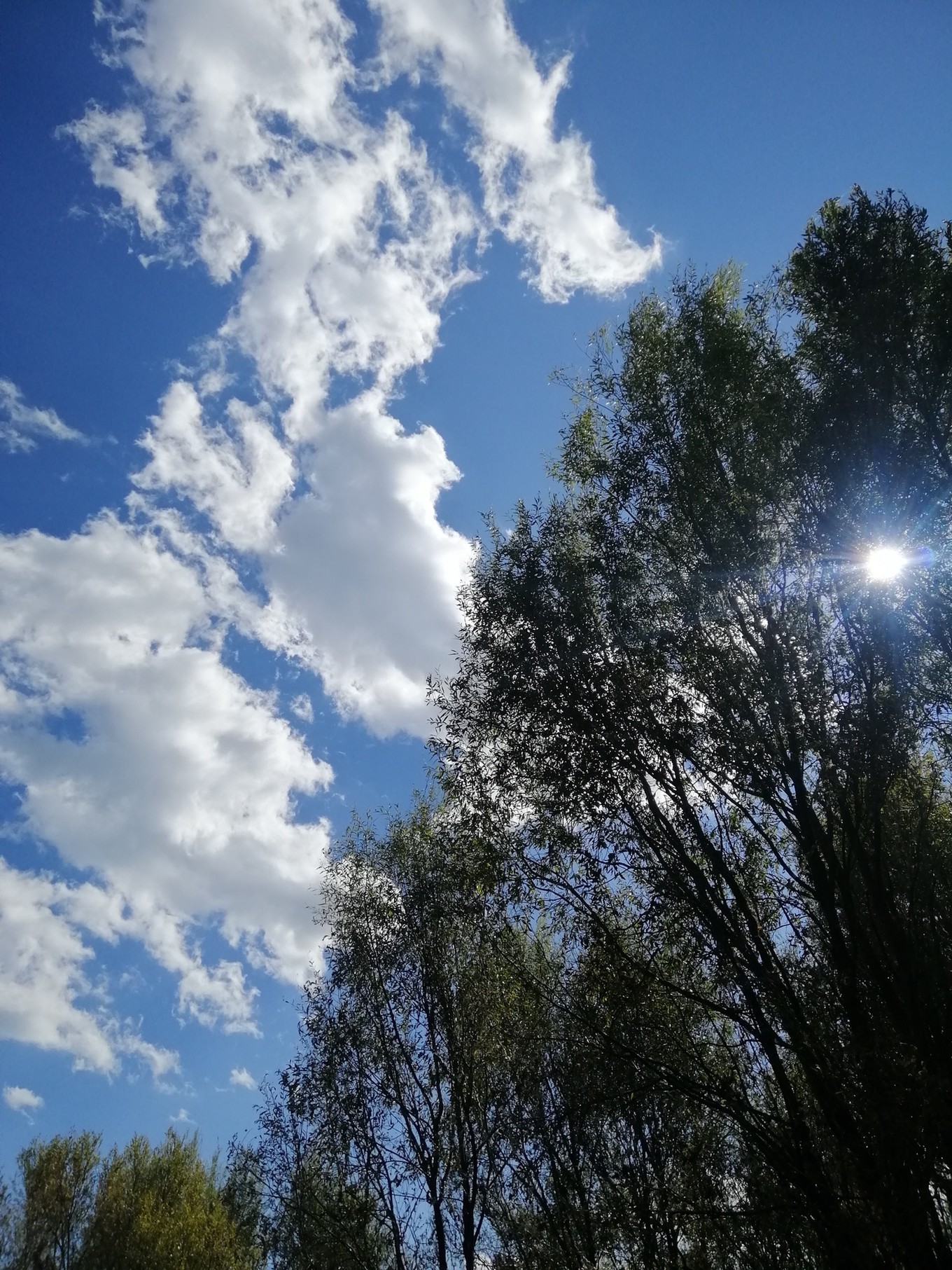 云南6日5晚自由行,云南六天五晚自由行