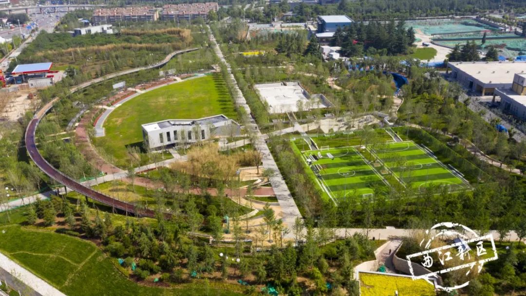 这个周日，新青年就要来曲*青江**年森林公园