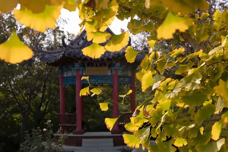 山东十大最差的公办院校,山东比较优秀的院校有哪些