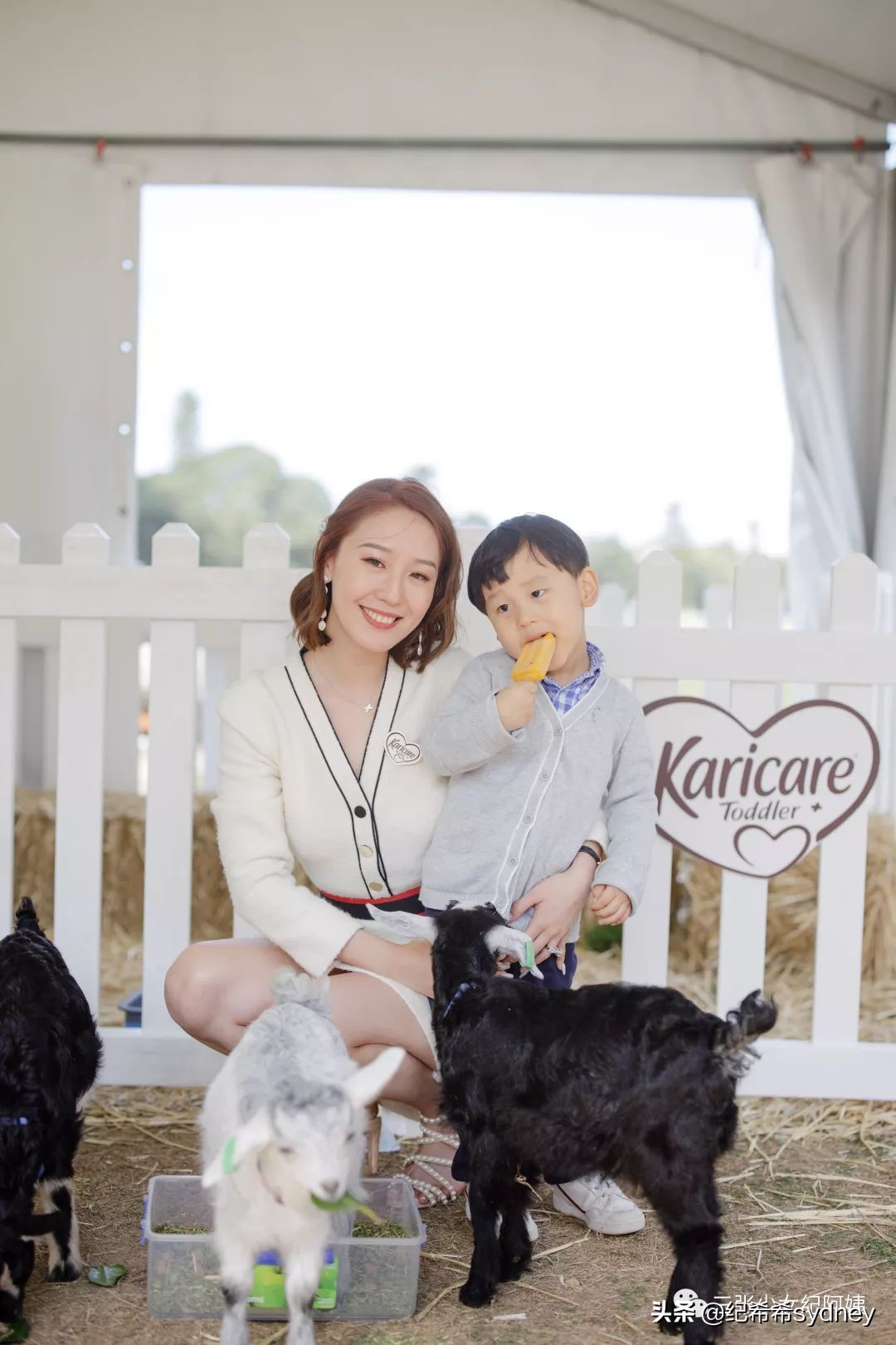 可瑞康原装进口奶粉,可瑞康奶粉澳洲价格