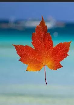 ps打散飞溅效果,ps怎么制作打散照片