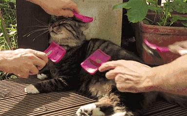 为什么有女朋友之后打游戏很菜,为什么有女朋友之后打游戏特别菜