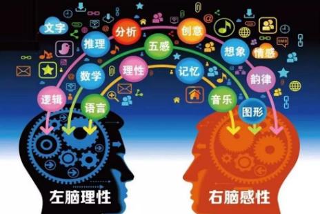 速记历史记忆方法,快速记忆历史知识点十一种方法