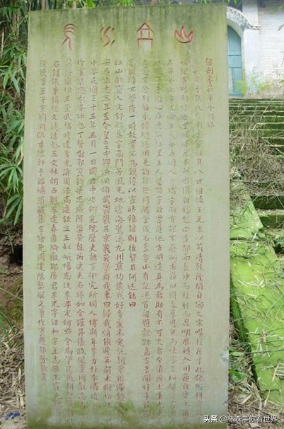 林森完整版免费观看,林森完整视频