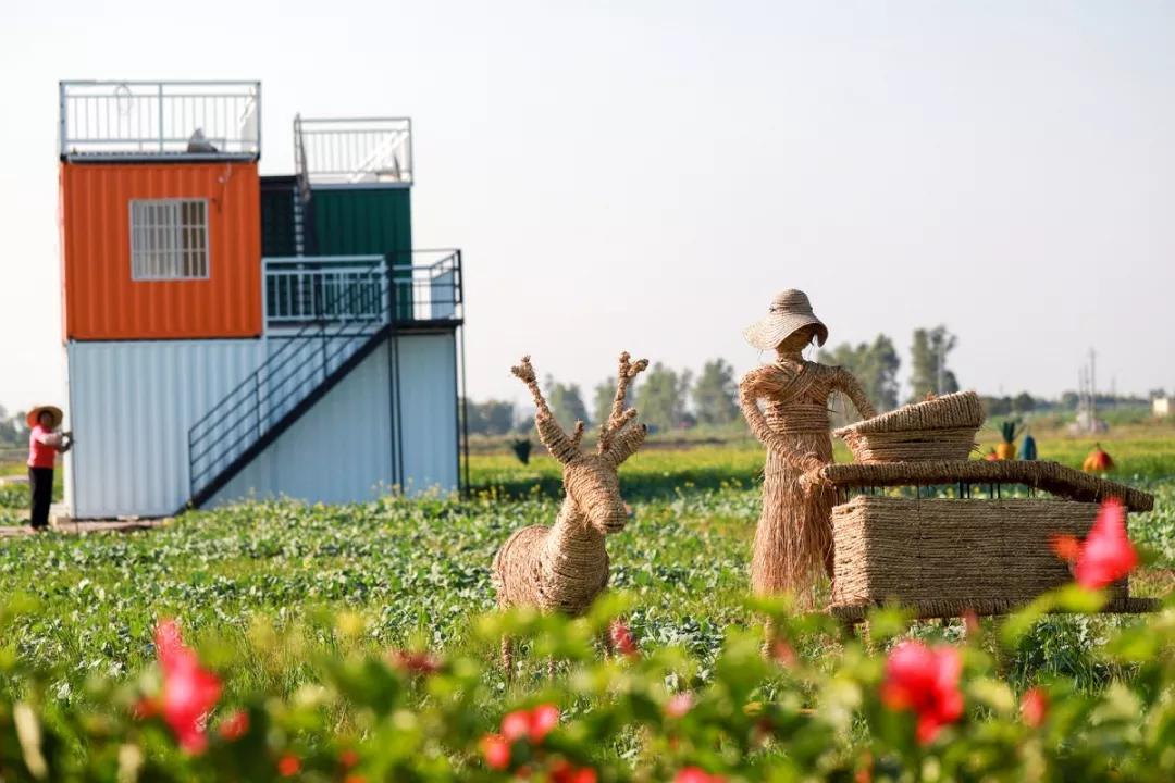 2020美到窒息！珠海的冬天，美炸了