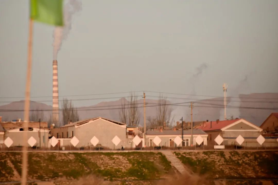 中国大沙漠的淘金客：*子骗**、教授与巨头