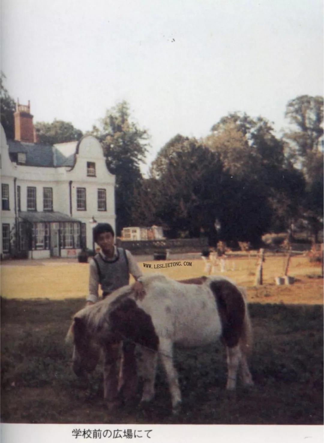 张国荣毕业于英国哪所大学,张国荣留学英国利兹