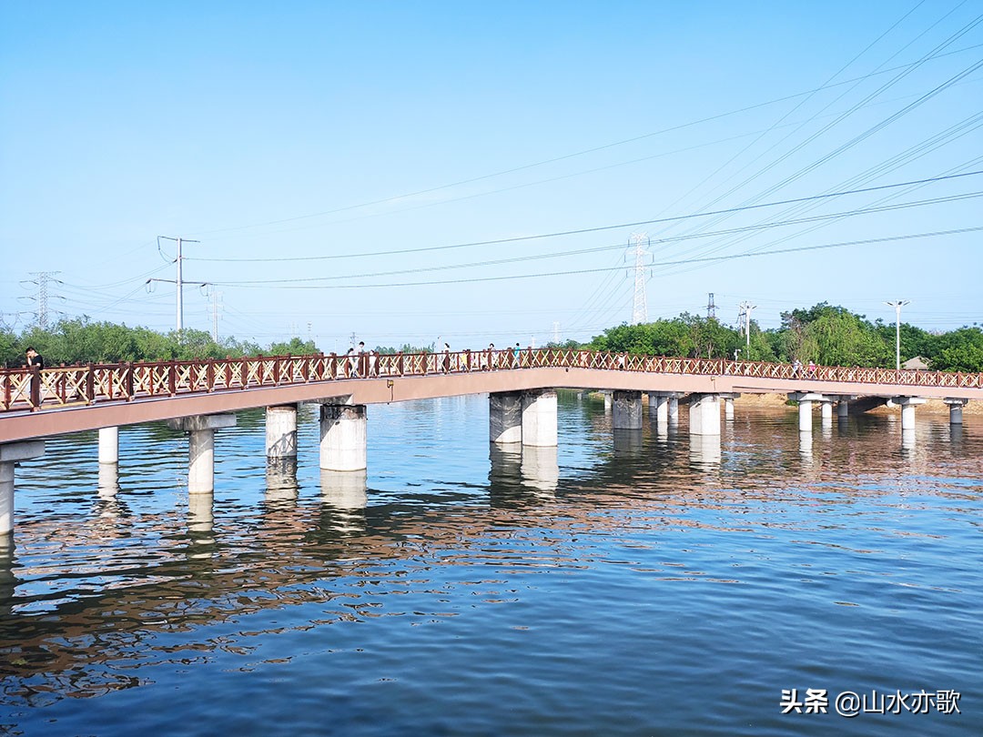 石家庄高新区这座公园，绿草茵茵电船驰行，还有两座别致的网红桥